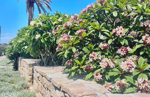 Mona Vale Casa | Beachside townhouse at Mona Vale beach, spacious and modern, footsteps to beach