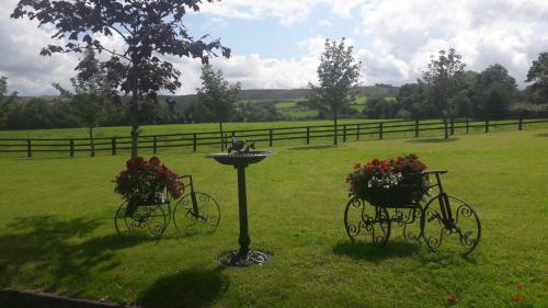 Ogonnelloe Cama Y Desayuno | Bealkelly Country House