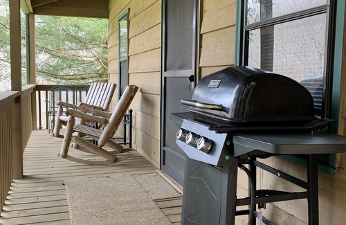 Rabun Gap Cabina | Bear Cave Cabin is perched on a hilltop overlooking Valley Springs lake
