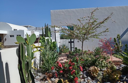 Chapala Villa | Casa del Oso