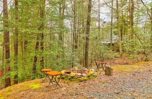 Cashes Valley Casa | Bear in the Woods