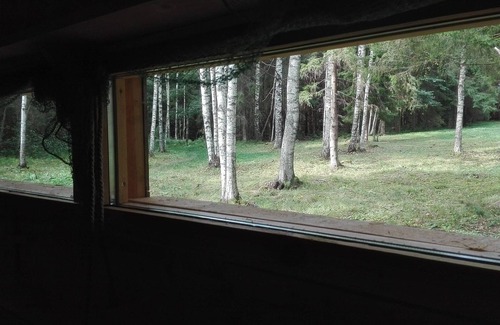 Vinni Parish Cabina | Bear Watching and Photography Hide