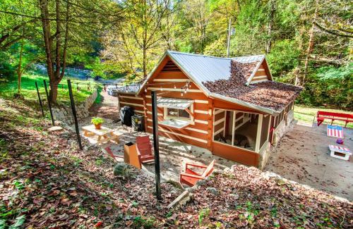 Townsend Casa | Beary Relaxing Cabin - Rustic with Outdoor Patio