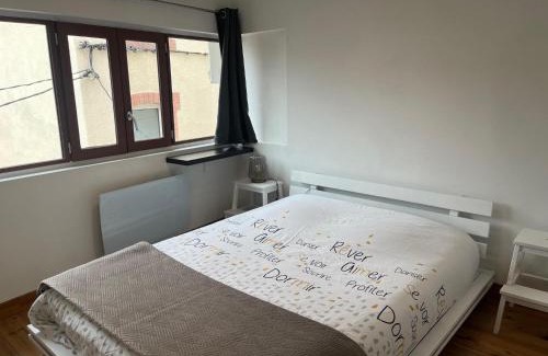 Saint-Gaudens Apartamento | Beau Grand T2 Duplex avec du Cachet Centre Ville