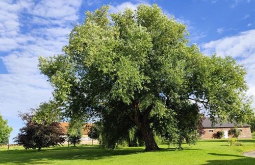Mesnieres-en-Bray Casa | Beau soleil