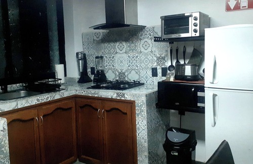 Chapala Centro Apartamento | Hermoso Apartamento/Roofgarden y Jacuzzi.