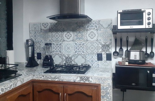 Chapala Centro Apartamento | Hermoso Apartamento/Roofgarden y Jacuzzi.