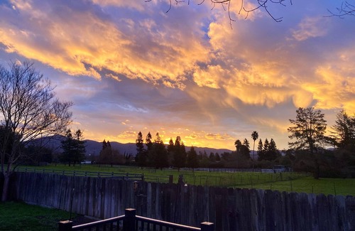 Napa Apartamento | Beautiful 1 Bedroom, loft style apartment with private deck on vineyard in Napa.