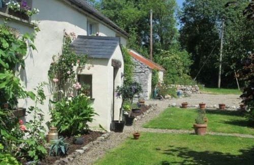Rathkeale Casa | Beautiful 300 year old traditional country cottage