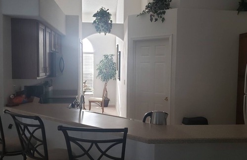 Orange Tree Casa | Beautiful 4/3 Pool Home FREE Spa Heat