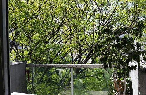 Comuna 7 Casa | xxxxxxxxxxxxxxxxxxxx