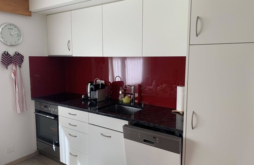 Lenk Apartamento | Bonito apartamento para 4 personas con aparcamiento