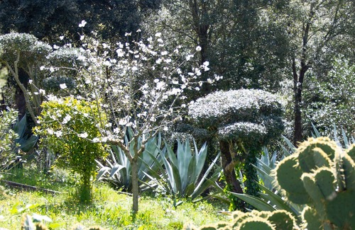 Vidreres Casa | Beautiful apartment in country house in the middle of nature