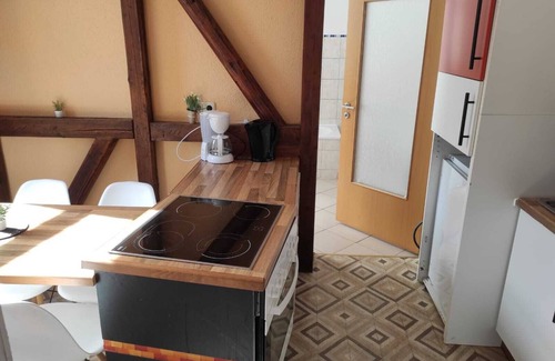 Zeitz Apartamento | Beautiful apartment with a large garden