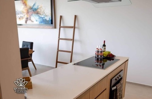 Flamingos Apartamento | Hermoso Aria Ocean 401 QueridaEstancia
