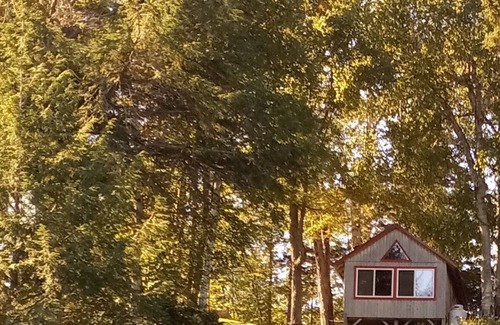 Spring Lake Cabina | Beautiful Cabin w/ lake frontage , dock and kayaks.