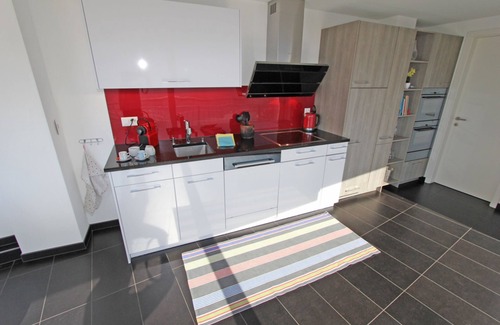 Brione sopra Minusio Apartamento | Beautiful duplex apartment with stunning panoramic views in two-family house