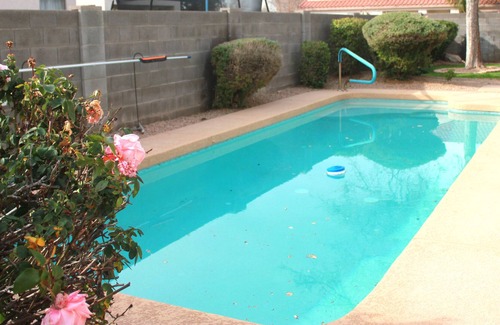 Mesa Casa | Beautiful/Comfy/Love Pets/Pool/Patio/WC Access/Near 202S /N & Gateway Airport