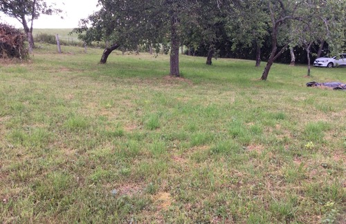 Arronnes Casa | FARM HERMOSA EN el corazón de Bourbonnais