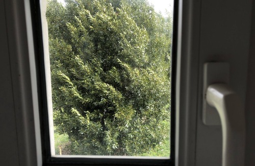 Salles-de-Barbezieux Casa | Hermosa Charentaise 3 dormitorios / 6pers con Jardín