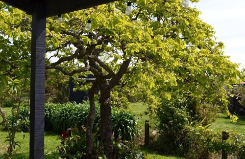 Havelock North Cabaña | Beautiful Havelock North Country Cottage on Organic Orchard. Pet friendly.
