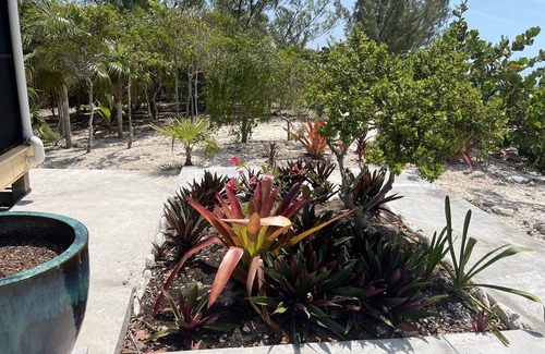 Pigeon Cay Casa | Beautiful home in Pigeon Cay 100 steps away from the Caribbean!