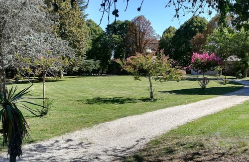 Brujas Casa | Hermosa casa con parque de flores grandes.