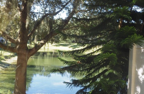 Kissimmee Casa | HERMOSA LAKEVIEW TOWNHOME, 5 MILLAS PARA DISNEY ... TOTALMENTE EQUIPADO