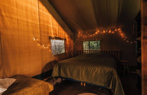 Nieuwediep Cama Y Desayuno | Beautiful luxury furnished tent in the countryside