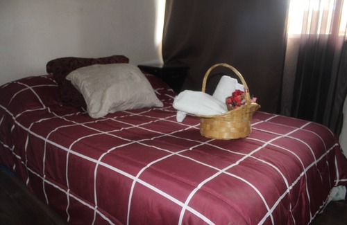 Coyoacan Apartamento | Hermoso y acogedor apartamento en el sol