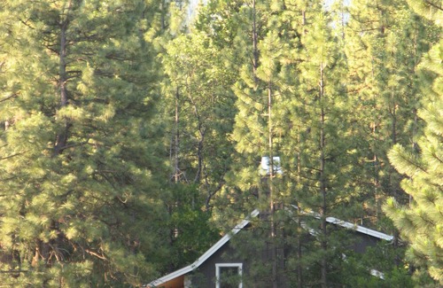 Burney Casa | Hermosa casa nueva en un entorno tipo bosque