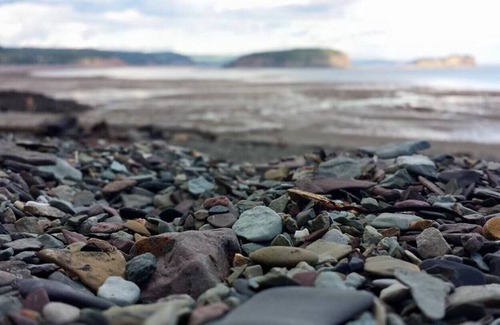Parrsboro Cabaña | Hermosa cabaña con vista al mar