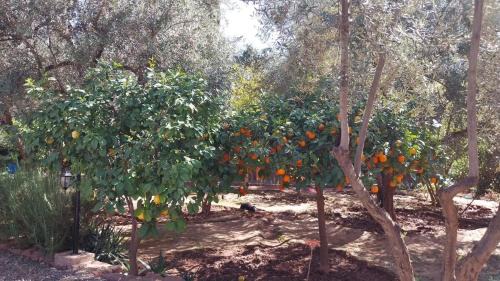 Ait Zat Apartamento | Beautiful peaceful haven with free breakfast