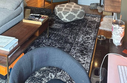 University Village / Little Italy Condominio | Beautiful Private Backyard Condo in Chicago
