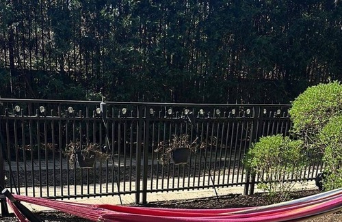 University Village / Little Italy Condominio | Beautiful Private Backyard Condo in Chicago