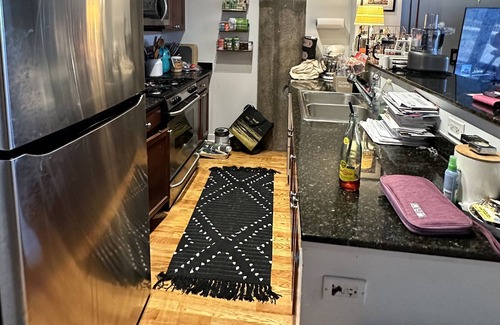 University Village / Little Italy Condominio | Beautiful Private Backyard Condo in Chicago