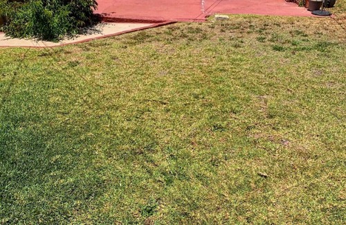 Los Angeles Casa | Beautiful private residence in quiet neighborhood. 5 mins. from SoFi Stadium