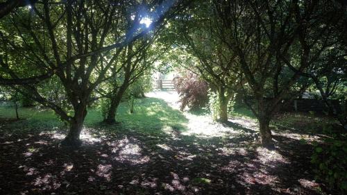 Kimbolton Casa | Beautiful Rural Retreat, Family friendly - Escape!