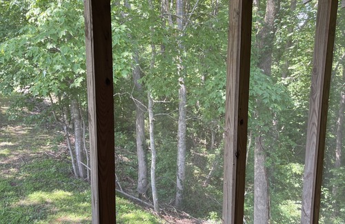 Baxter Cabina | Beautiful rustic cabin with loft! Huge Kitchen! On Center Hill Lake!