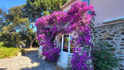 Le Rayol Apartamento | Beautiful sea view, AC, garden, beach minutes away by foot!