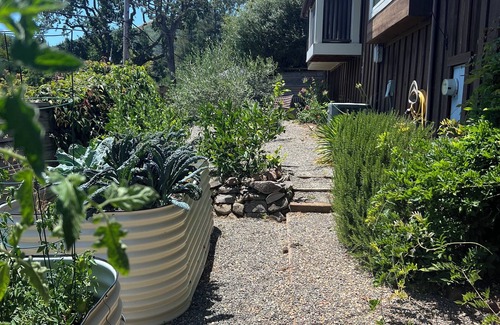 San Anselmo Casa | Hermosa cabaña de San Anselmo