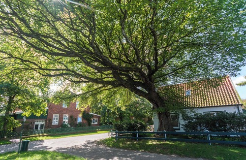 Spiekeroog Apartamento | Beautiful small apartment in the east of the village with south-facing terrace!
