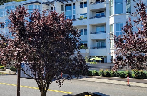 Nob Hill Condominio | Beautiful Space in the Heart of NW Portland's Alphabet District