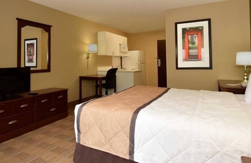 Temple Terrace Apartamento | Beautiful Studio apartment (425985) by Houzlet