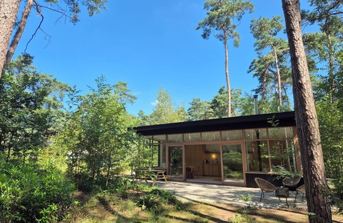 Lille Casa | Beautiful stylish bungalow with 2000 m2 of private forest in the Flemish Kempen
