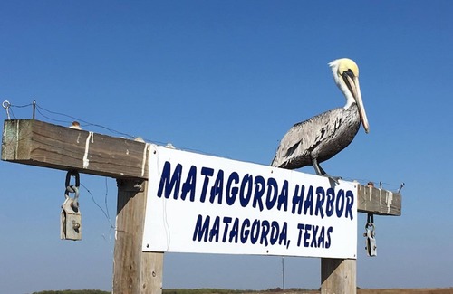 Matagorda Casa | Beautiful Sunrise - Cast~Away Townhouse