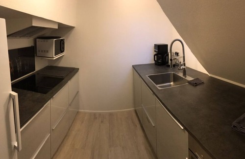 Stadsdriehoek Alquiler De Eote | Beautiful vacation home on a houseboat with roof terrace