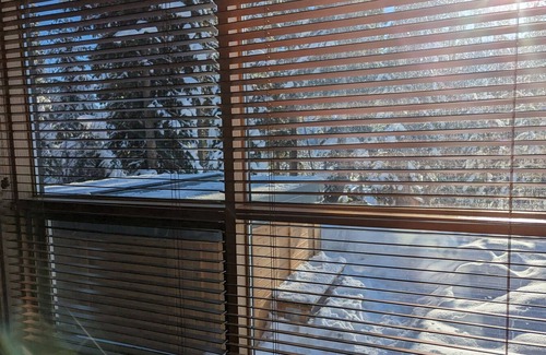 Sunburst Estates Casa | Beautiful Vacation Home | Ski-in/Ski-Out | Private Hot Tub | Fireplace
