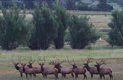 Beulah Casa | Hermosas Vistas, Aislado, Mascotas Aceptadas