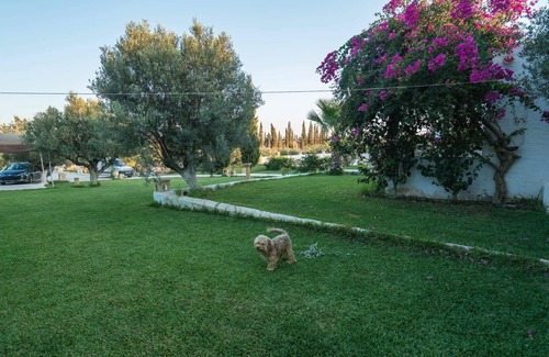 El Maamoura Villa | Hermosa villa con piscina